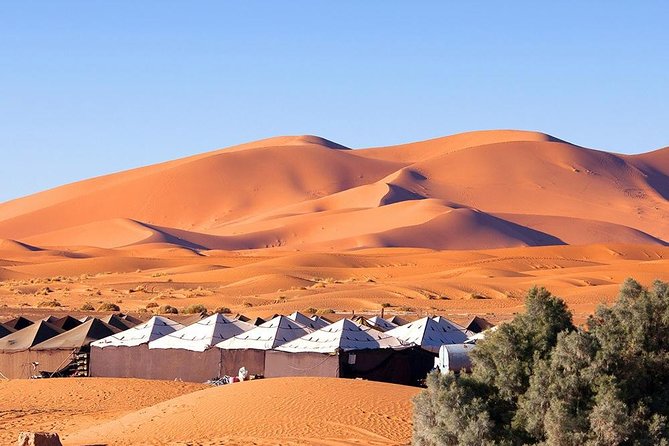 Sahara Desert Tour to Merzouga - 3 Days From Marrakech - Berber Culture Immersion