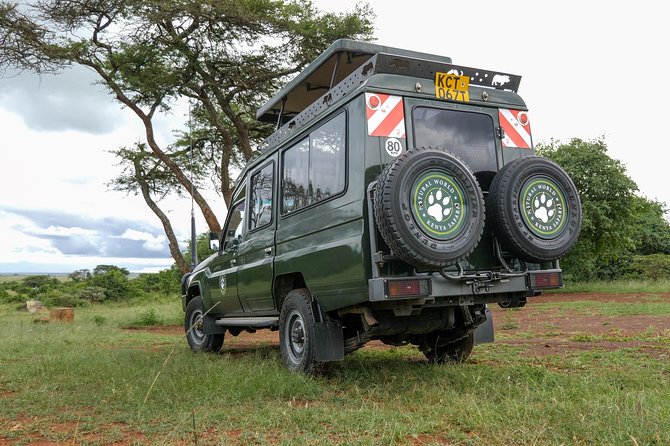 Samburu, Lake Nakuru & Masai Mara 6 Days Private 4x4 Jeep Safari - Private Tour Experience