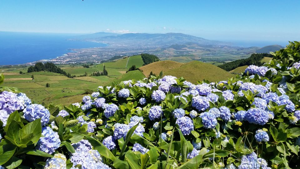 São Miguel: Sete Cidades and Lagoa Do Fogo Full-Day Tour - Customer Reviews and Feedback