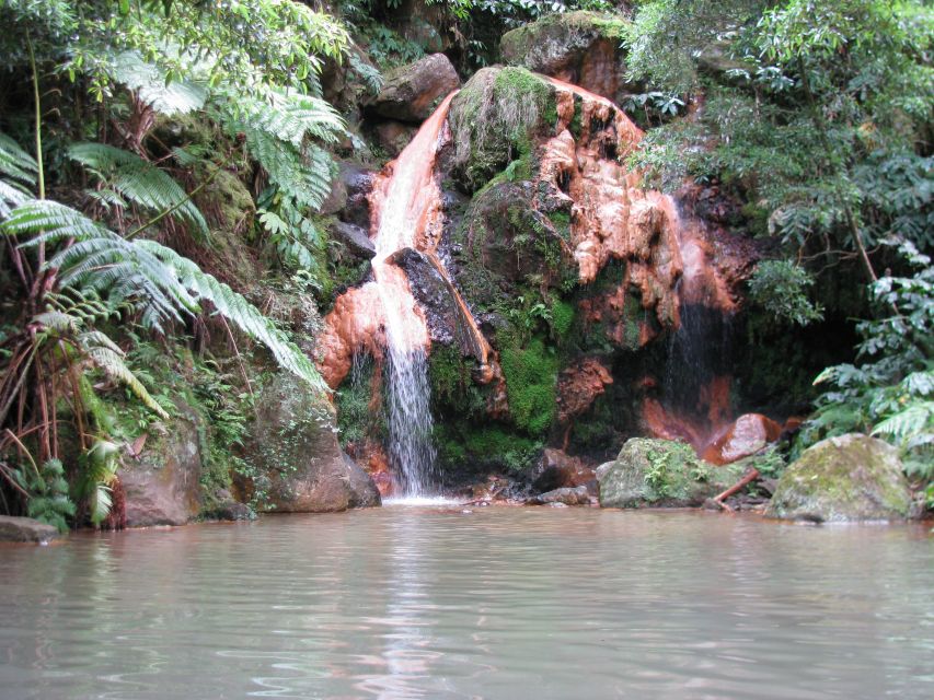 São Miguel: Whales & Volcano Full-Day Tour With Lunch - Geothermal Energy Production