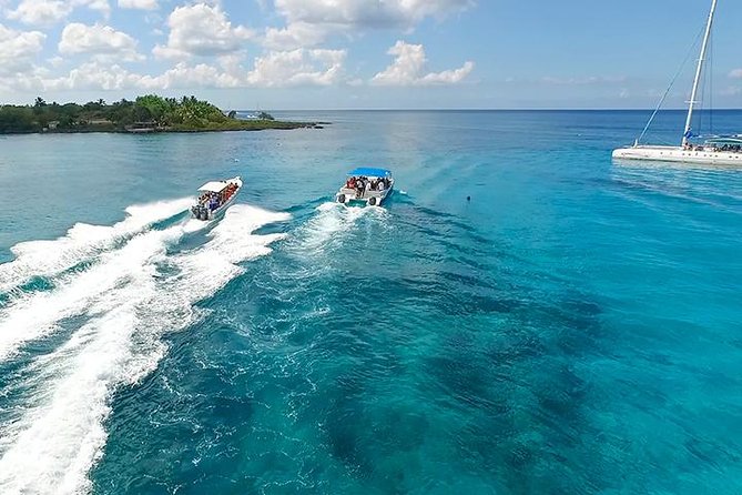 Saona Island Excursion From Bayahibe - Barbecue Lunch and Open Bar