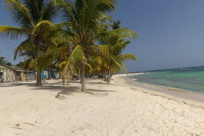 Saona Island Full Day - Enjoying the Amenities