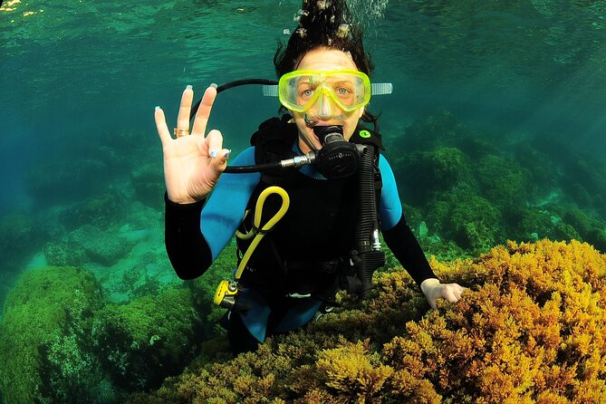 Scuba Diving Baptism and Snorkeling in Ibiza - Exploring the Marine Life