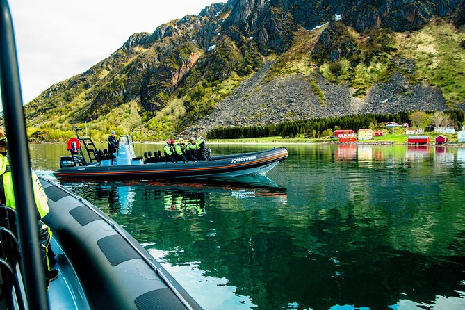 Sea Eagle Safari From Svolvær to Trollfjorden - Highlights of the Sea Eagle Safari