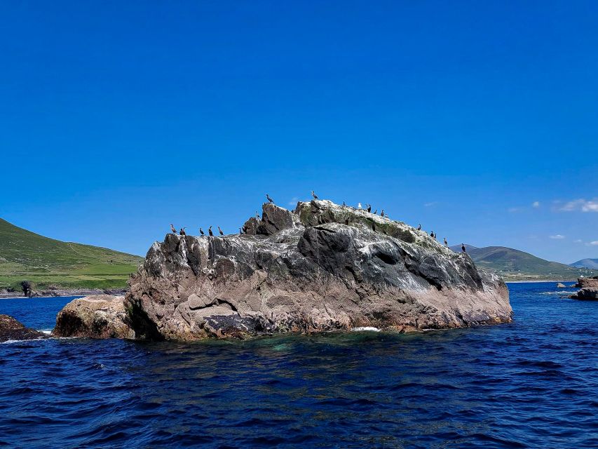 Sea Safari & Adventure : The Valentia Island Experience - Frequently Asked Questions