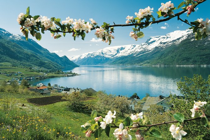 Self-Guided 22-Hour Round Trip From Oslo To Sognefjord With Flåm Railway - Scenic Bus Trip