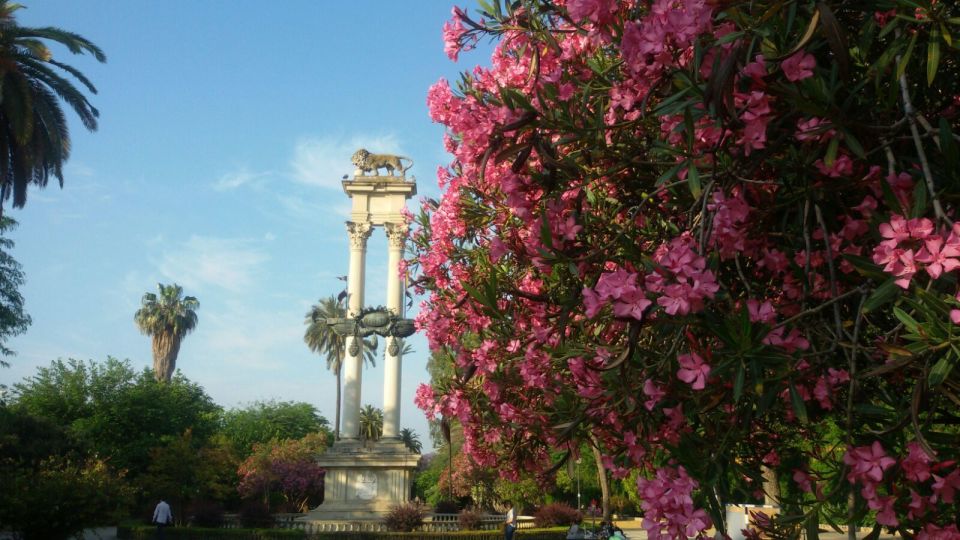 Seville Orientation Tour - Languages Offered