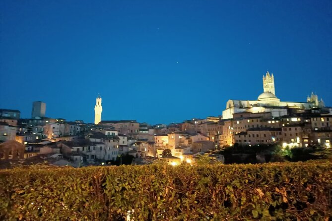 Siena Underground Wine Tasting in a Medieval Cave - Accessibility and Medical Considerations