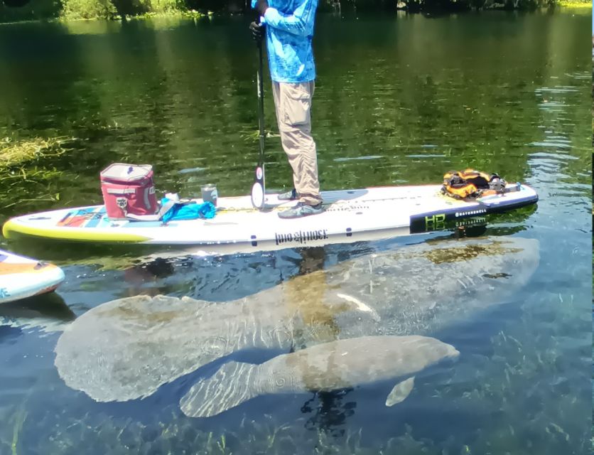 Silver Springs: Manatees and Monkeys Clear Kayak Guided Tour - Meeting Point