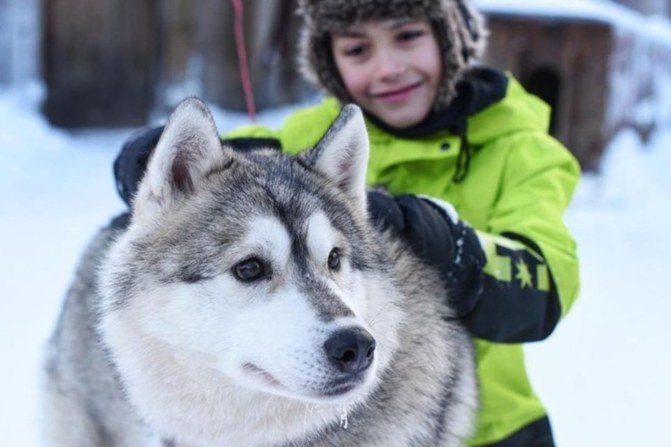 Sirkka: Husky Sled Ride in Levi - Exploring Laplands Landscapes