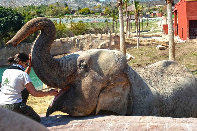 Skip the Line: Terra Natura Benidorm Entrance Ticket - Cancellation Policy