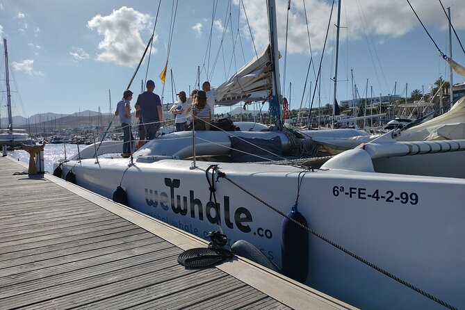 Small Group Dolphin Sunset Tour on Electric Catamaran Lanzarote - Booking Confirmation