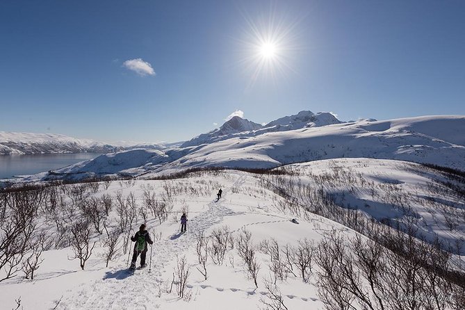 Small-Group Snowshoeing Tour From Tromso - Cancellation Policy