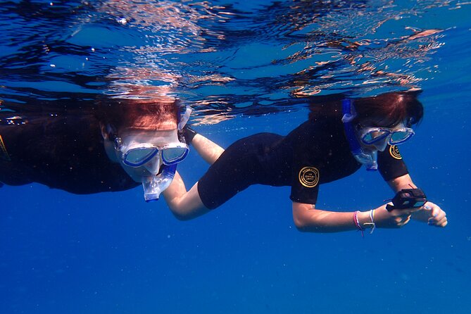 Snorkel Experience in Lanzarote - Meeting Point and Dive Site