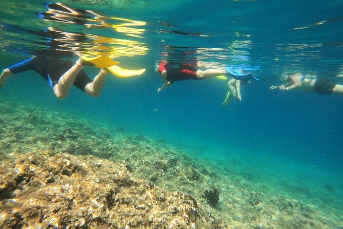 Snorkeling Boat Excursions in Nea Makri Athens - Private Boat Tour Transportation