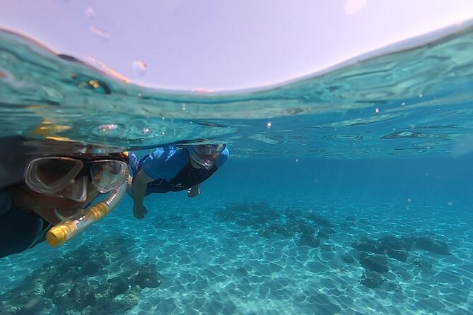 Snorkeling Experience to Discover the Dolphin Inside You! - Confirmation and Booking Details