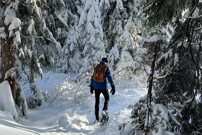 Snowshoeing at The Top of The Sea to Sky Gondola - Scenic Views From the Gondola