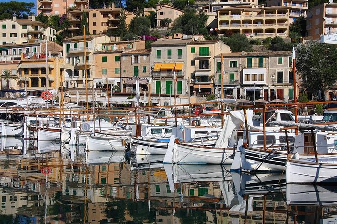 Soller Port With Train and Tram Mallorca Half Day Trip - Pricing and Group Size