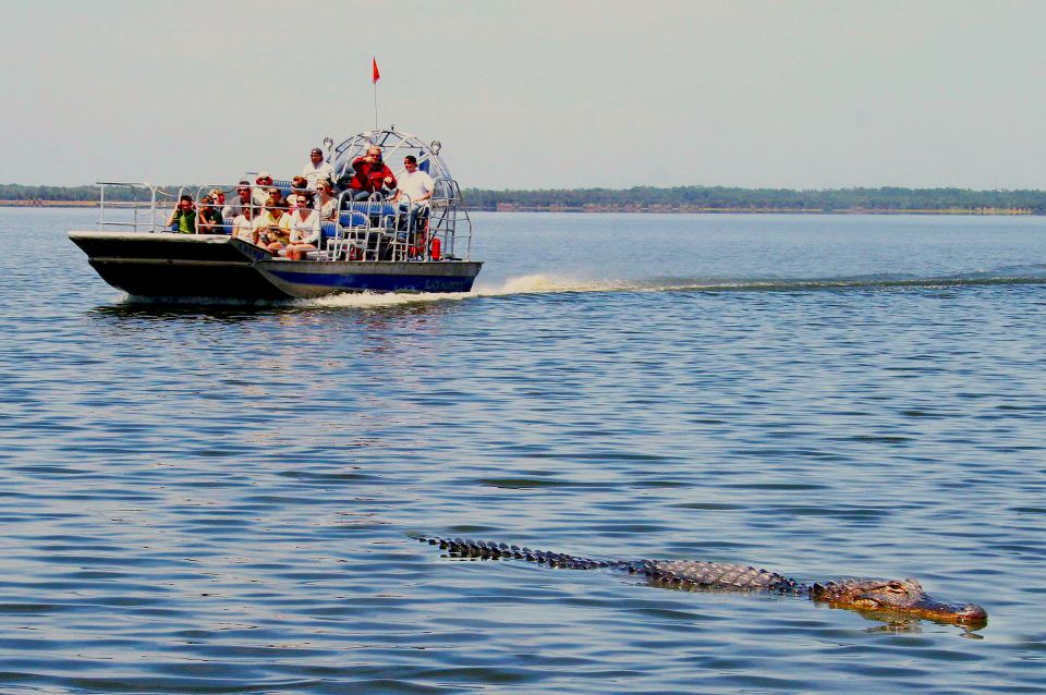 South Beach: Everglades Wildlife Airboat Tour - Customer Reviews and Ratings