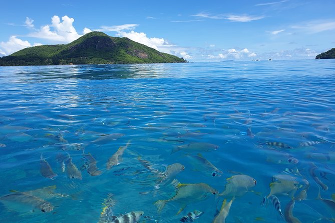 St. Anne Marine Park & Moyenne Island, Creole Lunch (Private Boat) - Marine Park and Island Highlights