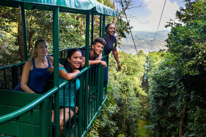 St. Lucia Aerial Tram Tour at Rainforest Adventures - What to Expect on the Tour