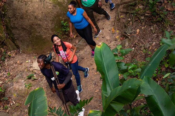 St Lucia Jacquot Trail Hike at Rainforest Adventures - Meeting Point and Transportation