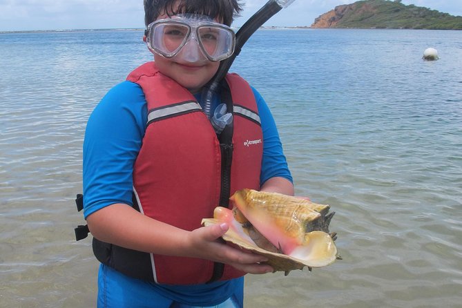 St Thomas Mangrove Lagoon Kayak and Snorkel Tour in the US Virgin Islands - Optional Hike on Cas Cay