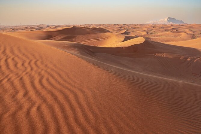 Sunrise/Morning Dune Drive With Camel Trek & Sand Surfing - Sandboarding Fun