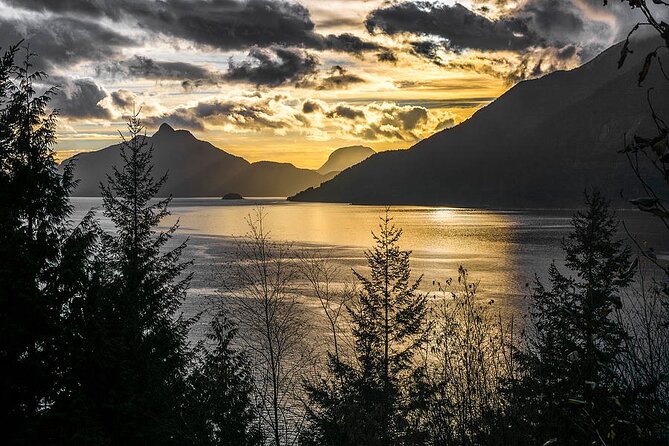 Sunset Boat Cruise in Vancouver - Accessibility and Travelers