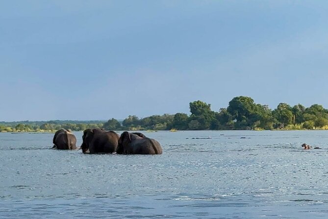 Sunset Cruises on the Zambezi River From Victoria Falls - Dress Code and Recommendations