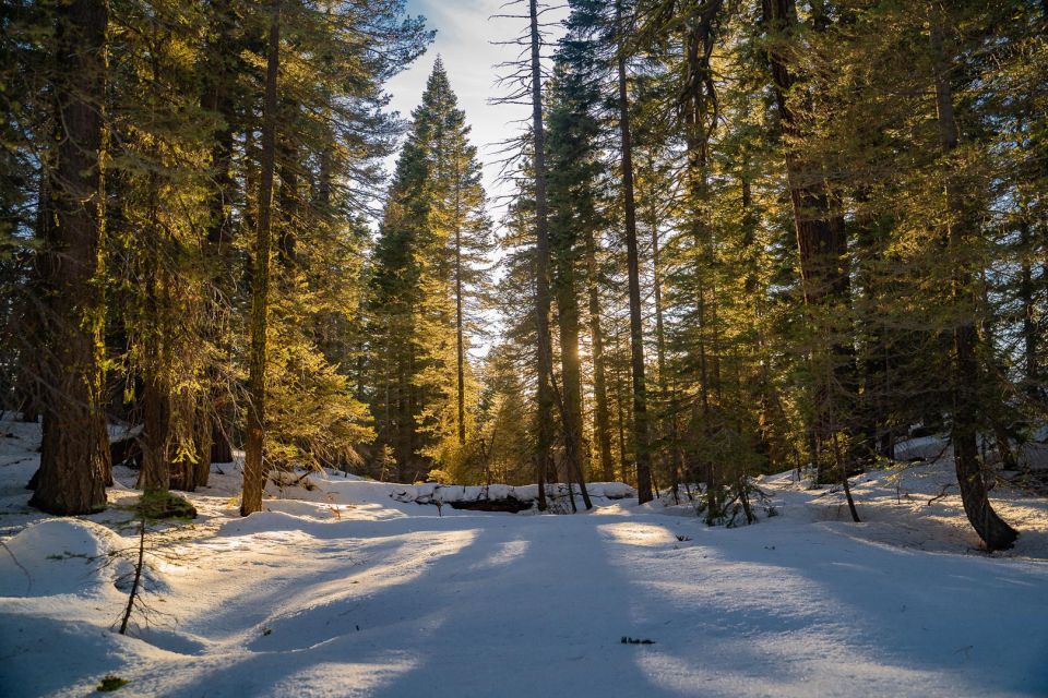 Sunset Snowshoe Guided Hike - Booking Information