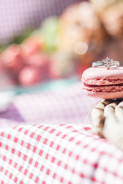 Surprise Proposal Picnic - Paris Proposal Planner - Frequently Asked Questions