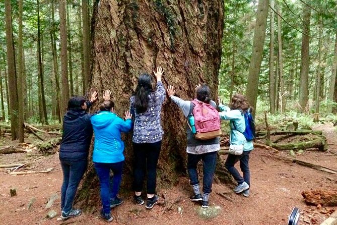 Talking Trees: Stanley Park Indigenous Walking Tour Led by a First Nations Guide - First Nations Perspective