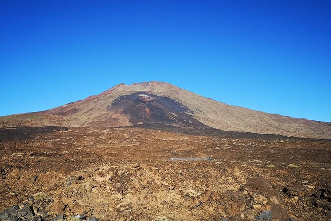 Teide National Park for Smaller Groups - Forested Village of Vilaflor