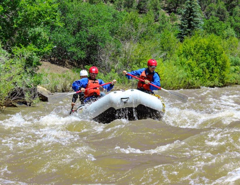 Telluride Whitewater Rafting - Full Day With Lunch - Rafting Trip Inclusions and Exclusions