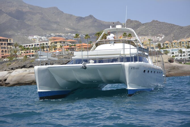 Tenerife Sunset Catamaran Tour With Transfer - Food and Drinks Included. - Wildlife Spotting Opportunities