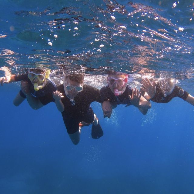 Tenerife: Turtle Bay Snorkel Discovery With Video - Cancellation Policy and Booking Details