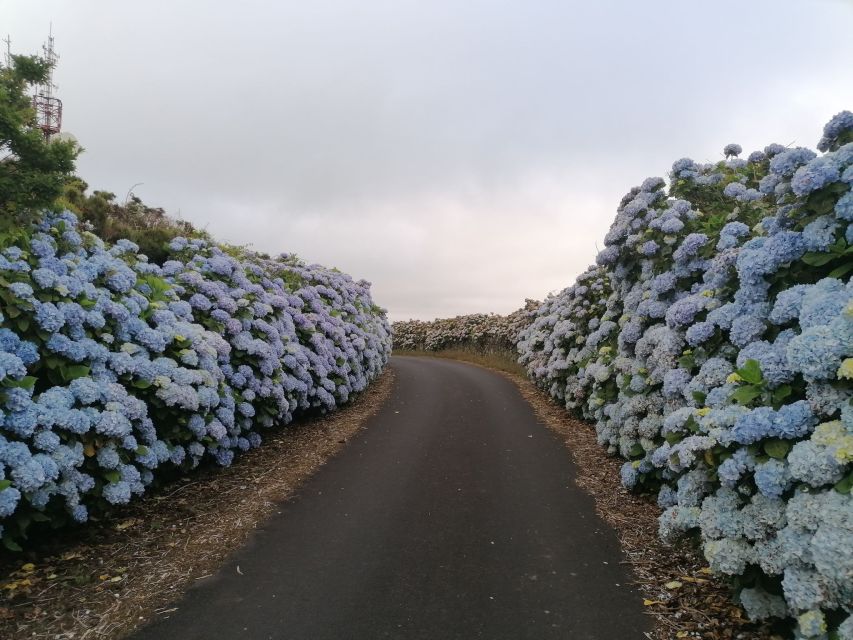 Terceira - Private Group - Half Day Guided Bus Tour - Restrictions