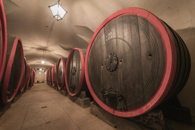 The Amarone Chateau Guided Tour and Tasting in Valpolicella - Inclusions and Exclusions