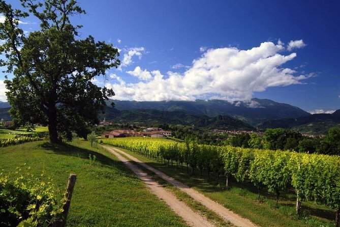 The Original Private Prosecco Tour All Inclusive From Conegliano - Winery Visits and Tastings