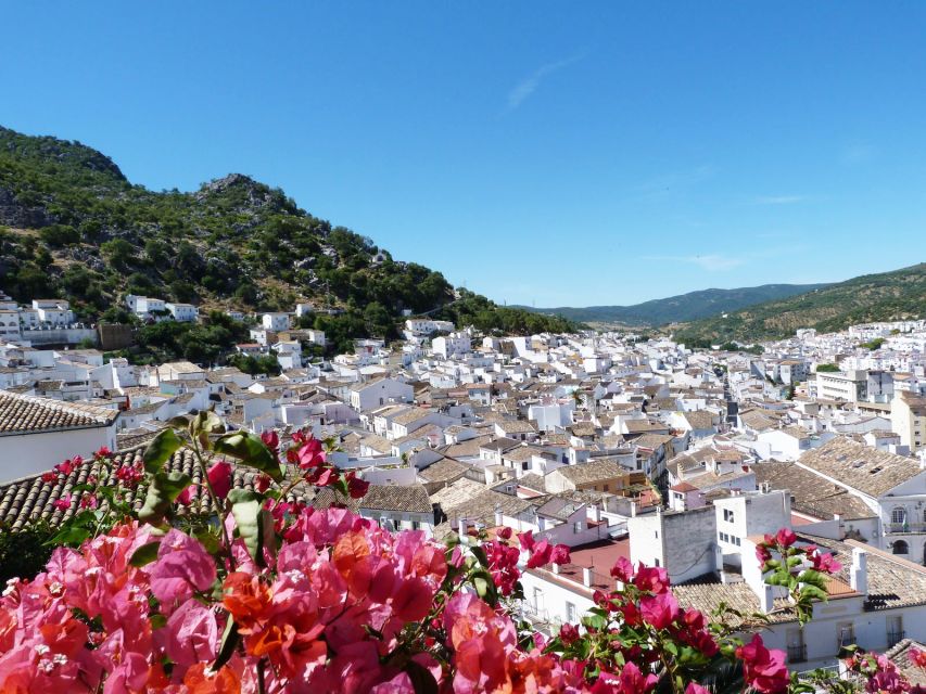 The White Towns of Andalusia: Private Day Trip From Cadiz - Inclusions and Exclusions