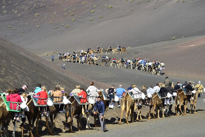 Timanfaya Park & Camel Ride (Extra Cost) - Short South Tour - Cancellation and Refund Policy