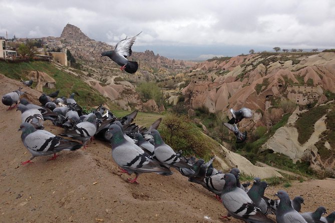 Tour of Highlights of Cappadocia With Lunch - Tour Logistics and Policies