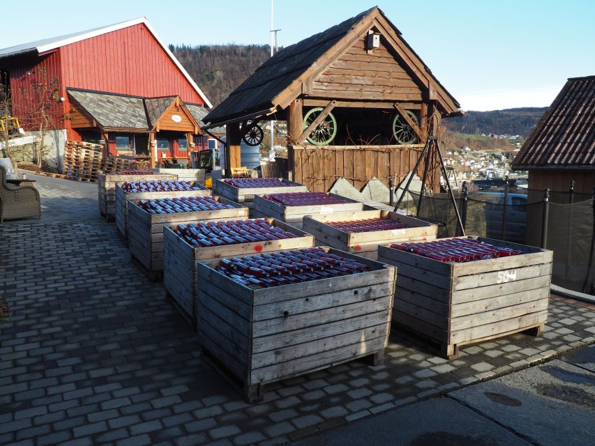 Tour to Hardanger Fjord, Including Coffee at a Historic Hotel. - Trengereid Lookout and Osterøy Island