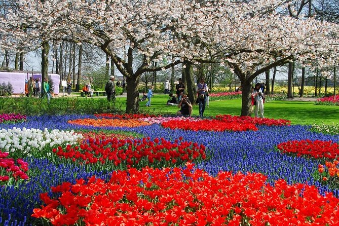 Tour to Keukenhof, Tulip Farm and Windmill Cruise From Amsterdam - Explore Keukenhof Gardens