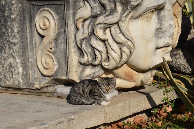 Treasures Of Ancient Turkey Tour 14 Days Small Group - Suitability and Requirements