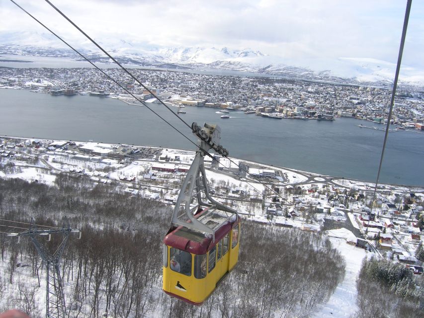 Tromsø: Arctic Panorama Fjellheisen Cable Car Ticket - Scenic Views From Mount Storsteinen