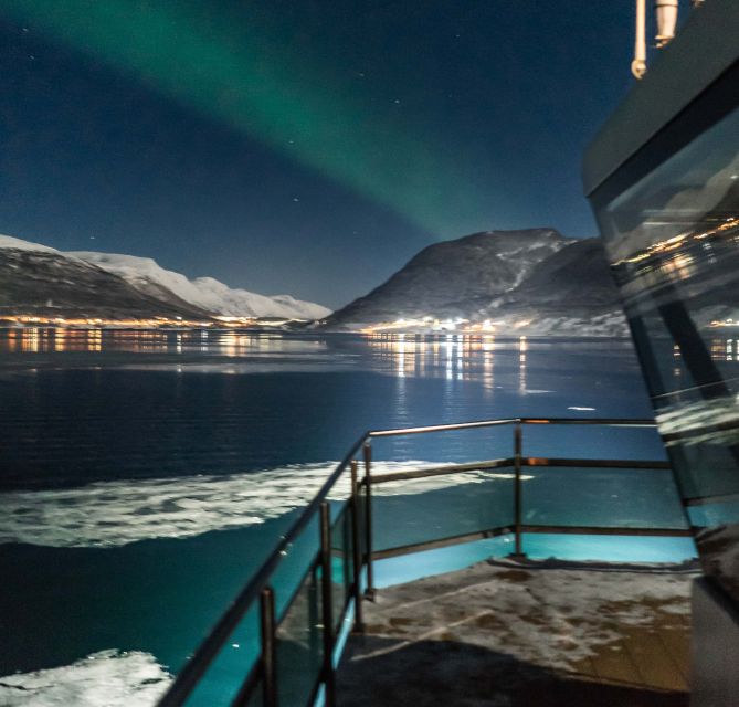 Tromsø: Aurora Dinner Cruise by Hybrid-Electric Catamaran - Enchanting Arctic Night