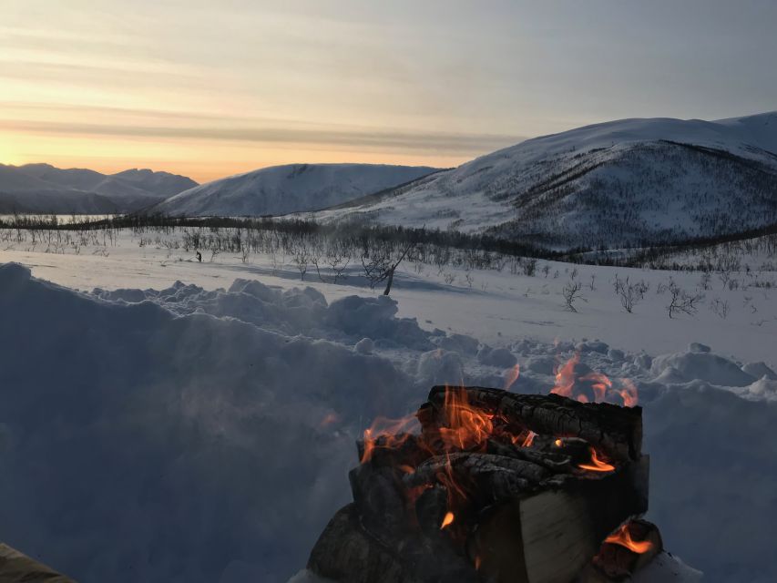 Tromsø: Beginner-Friendly Nordic Wilderness Skiing Tour - Spotting Arctic Wildlife