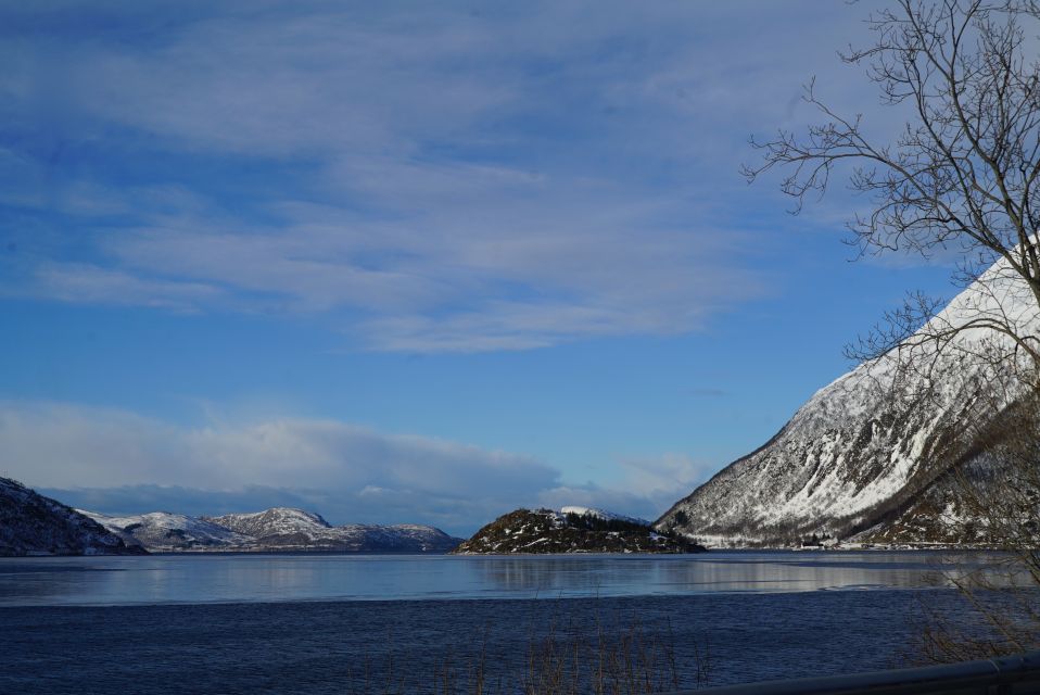 Tromsø: Fjord Sightseeing in a Tesla X Luxury Electric Car - Exploring the Fjords